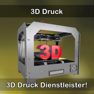 3D-Druckservice in Wasserlosen 