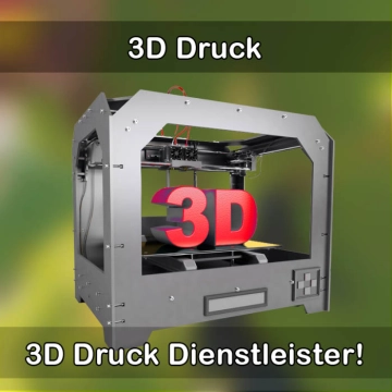 3D-Druckservice in Westerrönfeld 