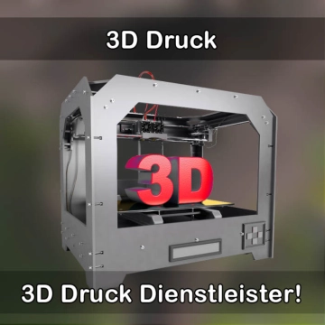 3D-Druckservice in Wiesentheid 