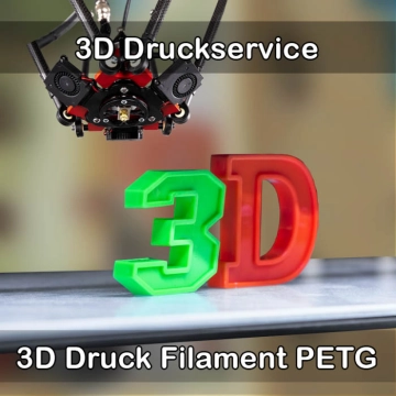 Fernwald 3D-Druckservice