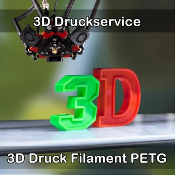 Frankenberg/Sachsen 3D-Druckservice