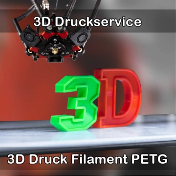Frankenthal (Pfalz) 3D-Druckservice