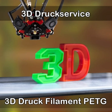 Heringen-Helme 3D-Druckservice
