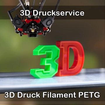 Lamspringe 3D-Druckservice