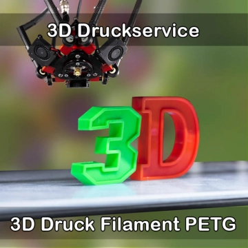 Lauingen (Donau) 3D-Druckservice