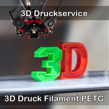 Lichtentanne 3D-Druckservice