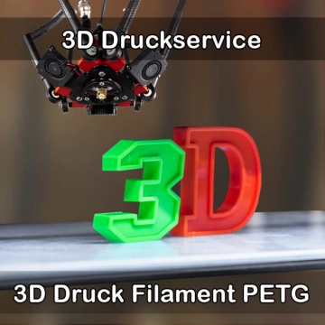Linsengericht 3D-Druckservice