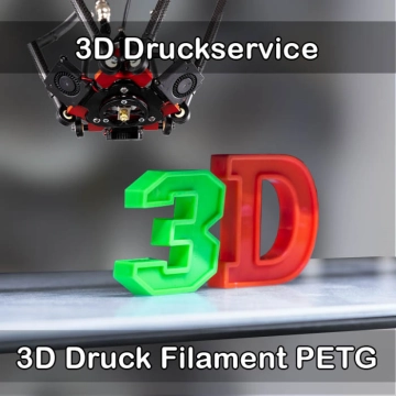 Lychen 3D-Druckservice
