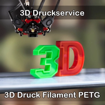 Mücke 3D-Druckservice