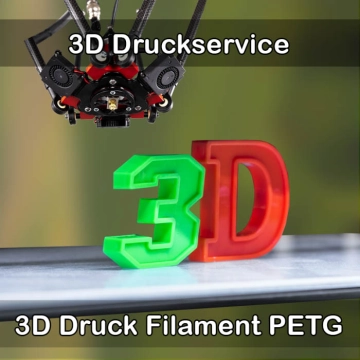 Reichenau 3D-Druckservice