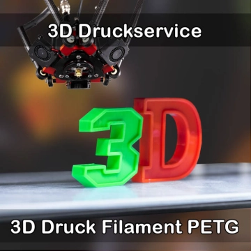 Ried 3D-Druckservice