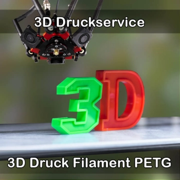 Riedstadt 3D-Druckservice