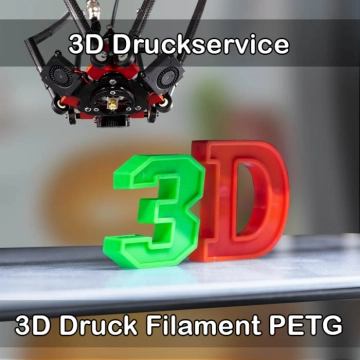 Schifferstadt 3D-Druckservice