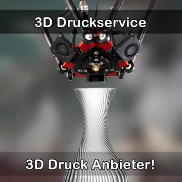 3D Druckservice in Aglasterhausen
