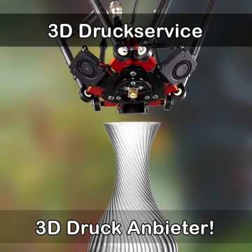 3D Druckservice in Alteglofsheim