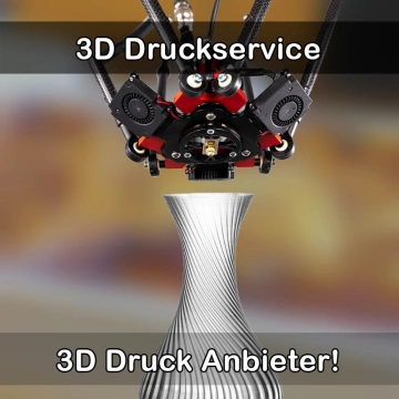 3D Druckservice in Amelinghausen