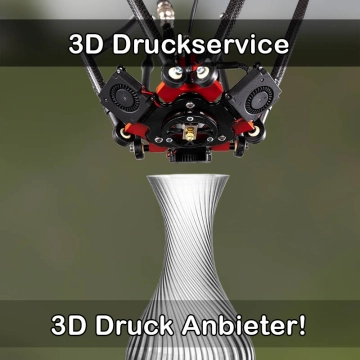 3D Druckservice in Bad Zwesten