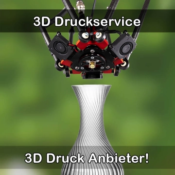 3D Druckservice in Baindt