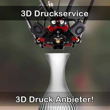 3D Druckservice in Barnstorf