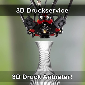 3D Druckservice in Beindersheim