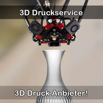 3D Druckservice in Biebesheim am Rhein