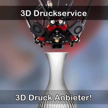 3D Druckservice in Biessenhofen