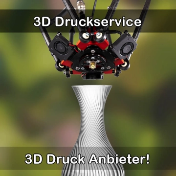 3D Druckservice in Binzen