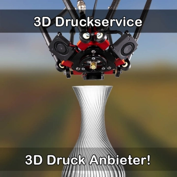3D Druckservice in Bischberg