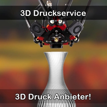 3D Druckservice in Bodelshausen