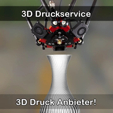3D Druckservice in Bordesholm