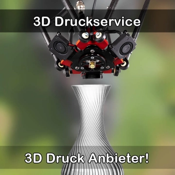 3D Druckservice in Bornhöved