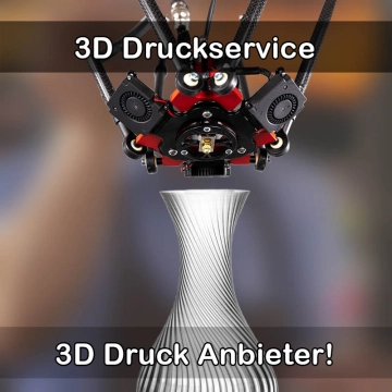 3D Druckservice in Brake (Unterweser)