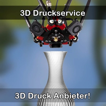 3D Druckservice in Braunsbedra