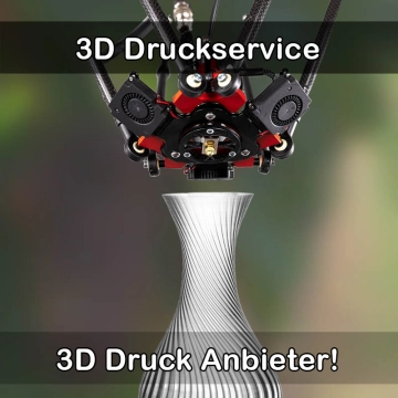 3D Druckservice in Büchen