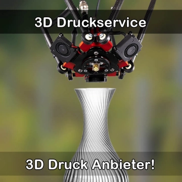 3D Druckservice in Buggingen