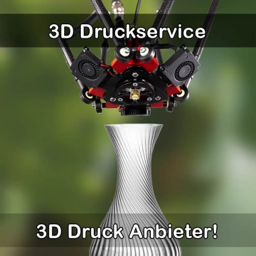 3D Druckservice in Burkhardtsdorf
