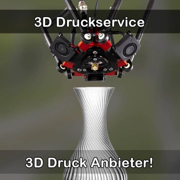 3D Druckservice in Cölbe
