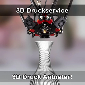 3D Druckservice in Dänischenhagen