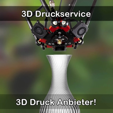 3D Druckservice in Dassendorf