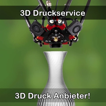 3D Druckservice in Dassow