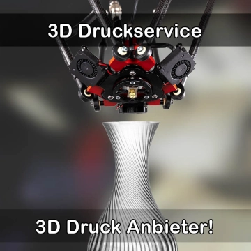 3D Druckservice in Deckenpfronn