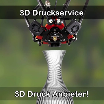 3D Druckservice in Deizisau
