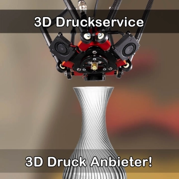 3D Druckservice in Diemelstadt