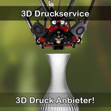 3D Druckservice in Diespeck