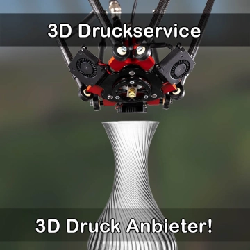 3D Druckservice in Dietenheim