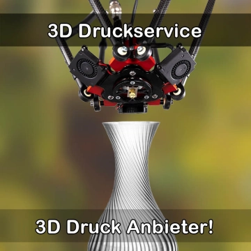 3D Druckservice in Diez