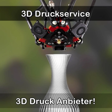 3D Druckservice in Dinklage
