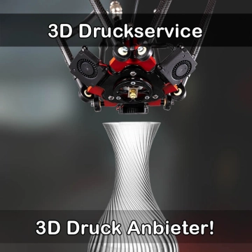 3D Druckservice in Dischingen
