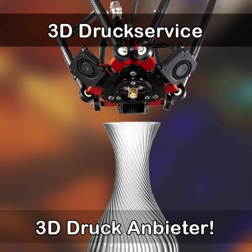 3D Druckservice in Drei Gleichen