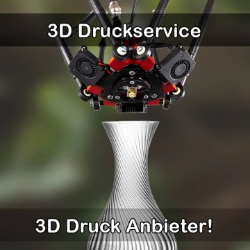 3D Druckservice in Driedorf